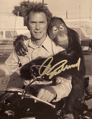 Clint eastwood every which - eastwood, way