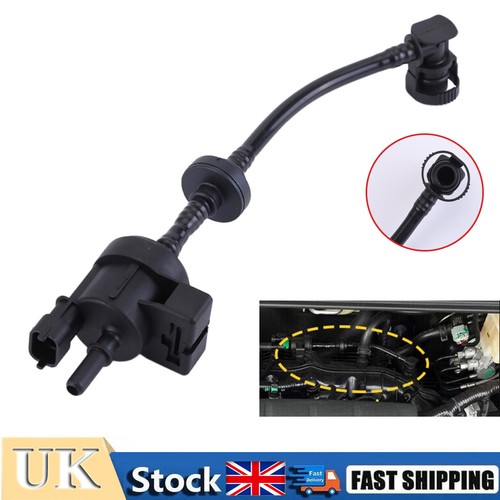 Fuel evaporation purge valve - fuel,