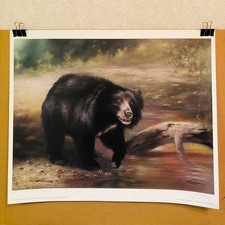 Joel Kirk Signed Limited
