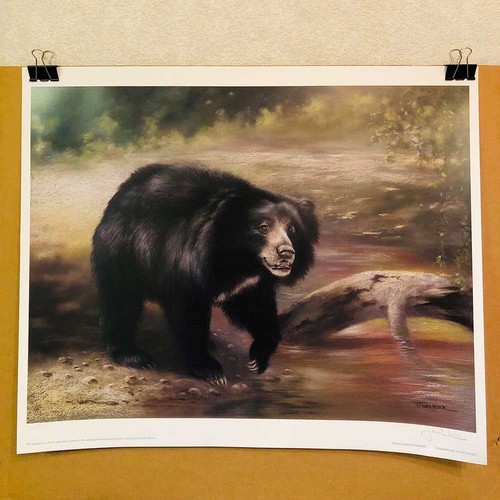 Joel kirk signed limited - joel,