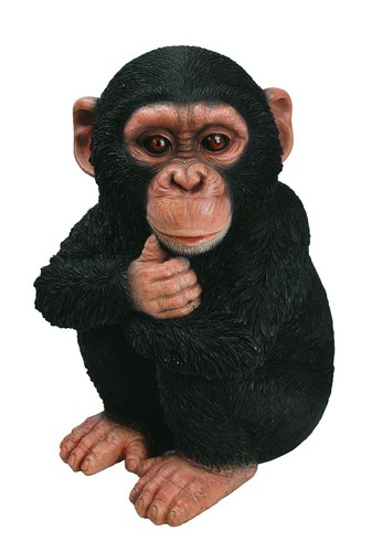 Vivid arts baby chimpanzee - arts,