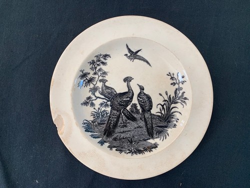 Wedgwood black peacock plate - wedgwood, :
