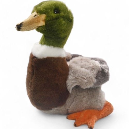 Carl dick duck mallard - carl, duck,