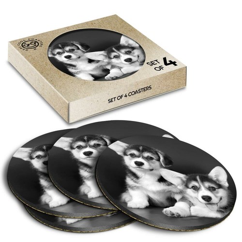 Boxed round coasters bw - 4,