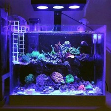 Spectra Nano M029 Aquarium