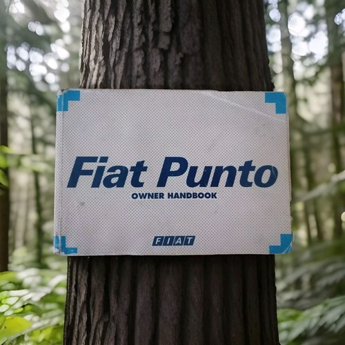 Fiat punto owner - owner's, handbook