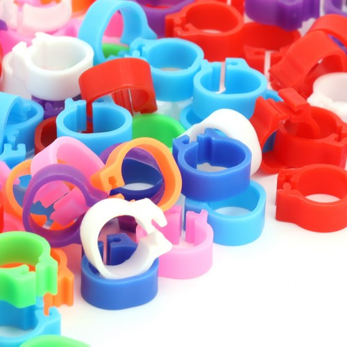 200pcs colorful pigeons - 200pcs,