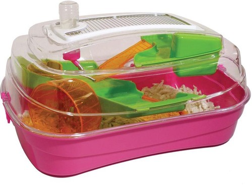 Rosewood abode dwarf hamster - abode,