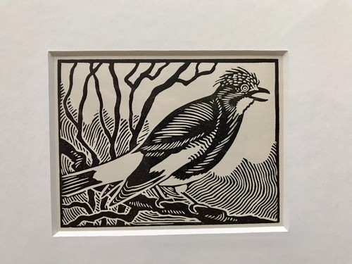 Jay framed woodcut bird - framed,