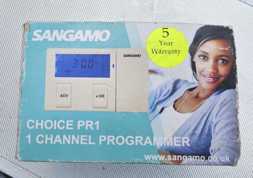 Sangamo hour day 1 - hour,