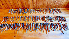 Taxidermy-Deer Antler-125