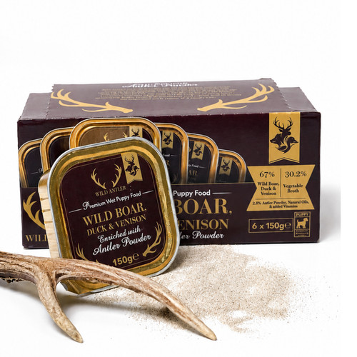 Wild antler puppy wet - antler,