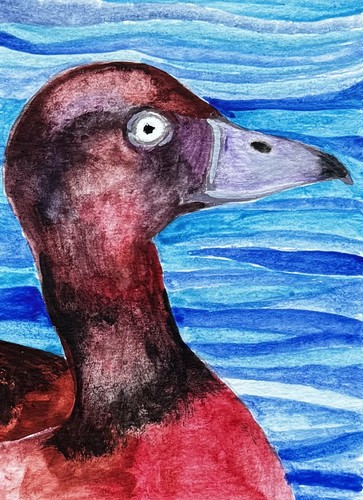 Aceo original watercolour - aceo,