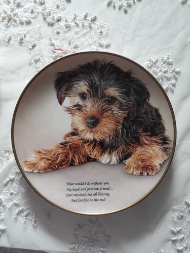 Collector plate yorkshire - collector,