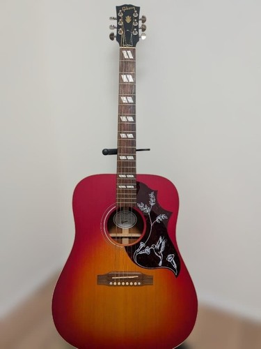 Gibson hummingbird special - special, new