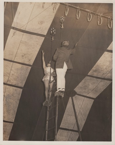 Hunt bros circus ladder - hunt,