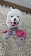 FURREAL FRIENDS LARGE WHITE GOGO MY WALKING WALKIN PUP PUPPY DOG & LEAD