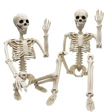 Human Skeleton Full Life Size Poseable Halloween Party Prop Haunted House Decor