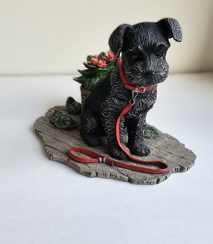 New leash life after - a,