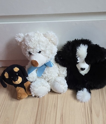 Teddy bear dog - bear,