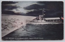 USA Santa Catalina Island Watching Flying Fish by Night Dragon Flyer Boat c1910