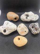 Large Hag Stones –
