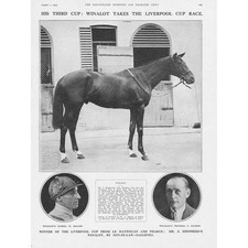 WINALOT Race Horse Winner of the Liverpool Cup - Vintage Print 1925