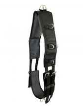 Multi Ring Training Horse