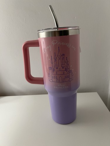 Disney princess steel thermal - steel,