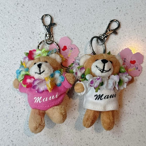 Hawaii maui bear - hawaii, plush