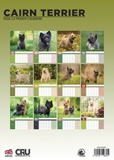 Cairn Terrier Dog 2026 A3 Calendar