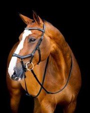 Horseware Micklem 2 Diamante