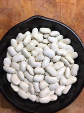 Greek Gigantes Climbing Runner Beans 20 Mountain Grown Seeds