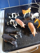 Collection Of Mojo Brand Farm