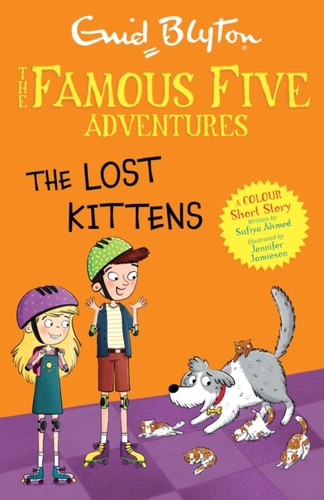 Lost kittens - lost,