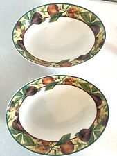 royal doulton Augustine 2x oval serving dish Every day 1994 vintage
