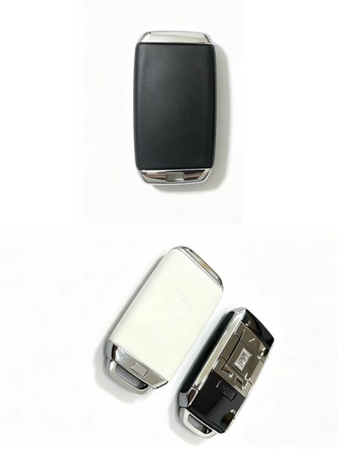 Rolls royce key fob - key, rear