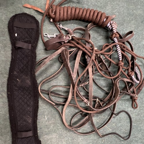 Job lot horse training - job,