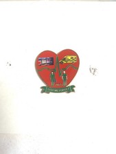 AMBULANCE LEST WE FORGET  2025 THiN GREEN LINE MEMORIAL BADGE