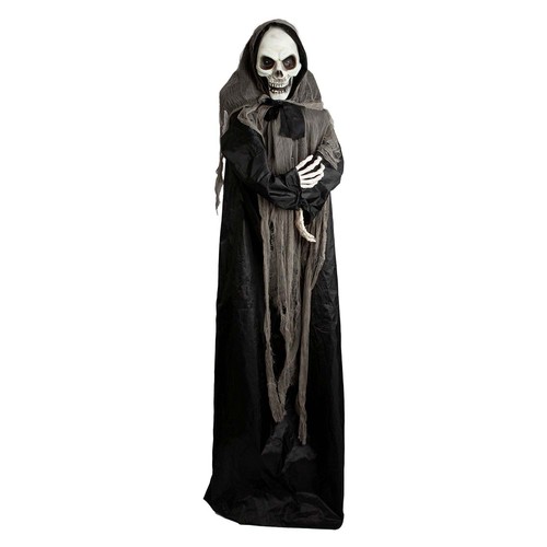 Halloween animated skeleton - halloween,