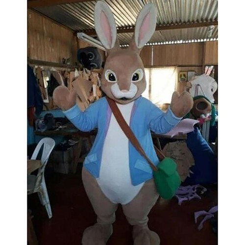 Peter rabbit easter bunny - rabbit,