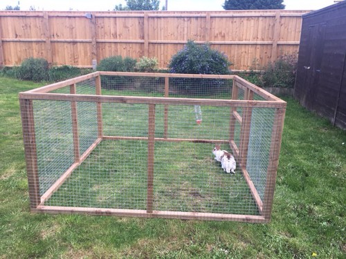 Rabbit hutch like cage run - like, /