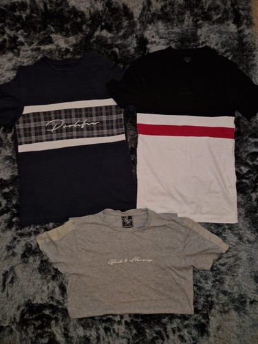 River island mens tshirt - river,