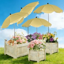 4 Pack Plant Umbrellas for