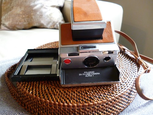 Polaroid alpha 1 land - alpha,