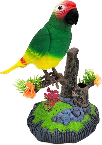 Talking parrot repeat moves - talking,