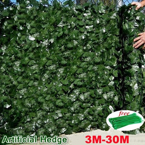 30m artificial hedge - 30m, roll