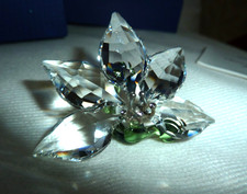 SWAROVSKI SILVER CRYSTAL GREEN