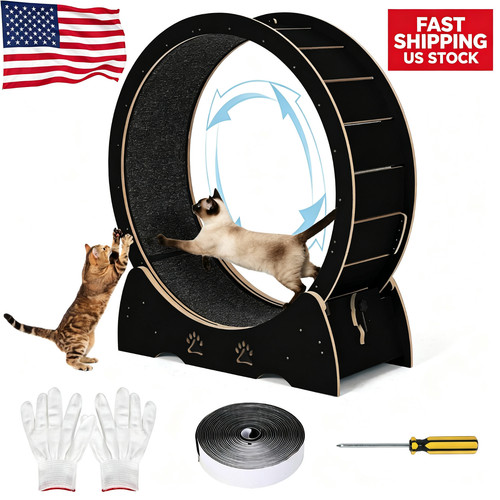 Cat exercise wheel wooden - wooden,