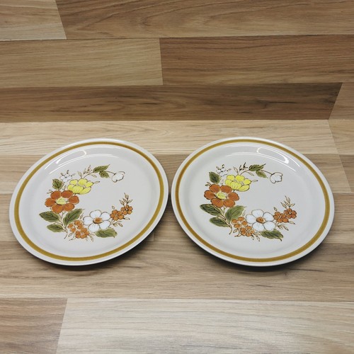 Set vintage mountain wood - 2,